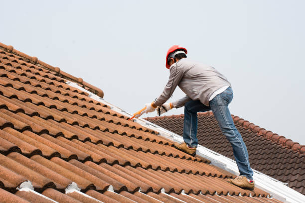 Best Roof Moss and Algae Removal  in Fishhook, AK