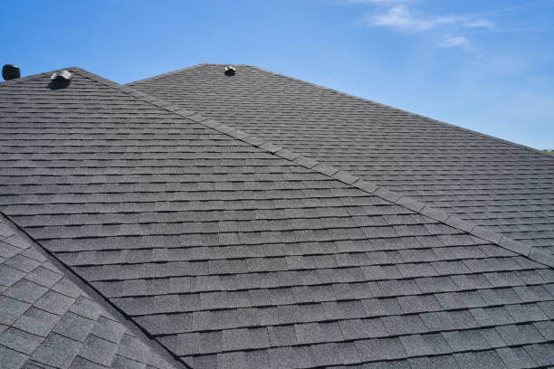 Best Gutter Installation and Repair  in Fishhook, AK